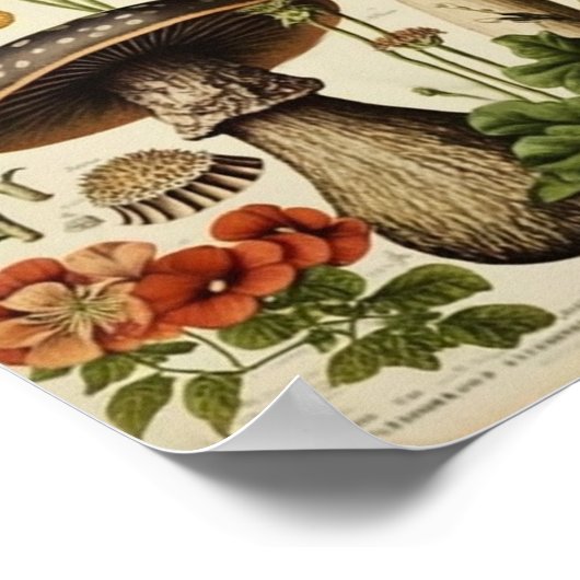  paddenstoel poster (Hoek)