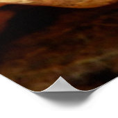 Paddenstoel Poster (Hoek)