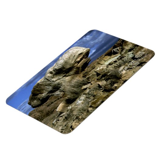 paddenstoel Rock Magneet (Linkerzijde)