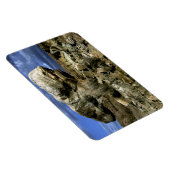 paddenstoel Rock Magneet (Rechterzijde)