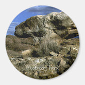 paddenstoel Rock Magneet (Voorkant)