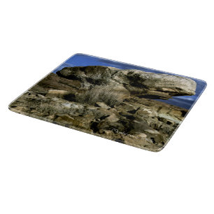 paddenstoel Rock Snijplank