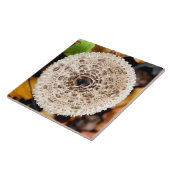 paddenstoel tegeltje (Zijkant)