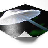 Paddenstoel verlicht foto afdruk (Hoek)