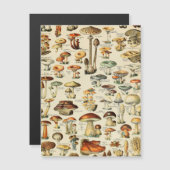 PaddenstoelCollectie (Voorkant / Achterkant)