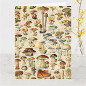 PaddenstoelCollectie Kaart (Gele Bloem)