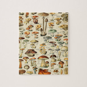 PaddenstoelCollectie Legpuzzel