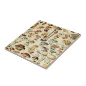 PaddenstoelCollectie Tegeltje (Zijkant)