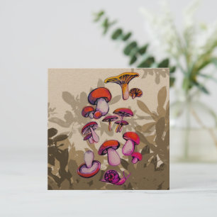 Paddenstoelen