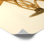  paddenstoelen 1861 Art Print Brown (Hoek)