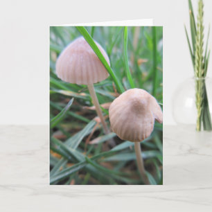 Paddenstoelen blanco kaart