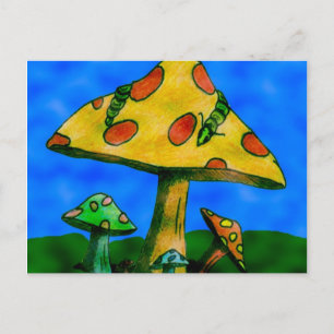 paddenstoelen briefkaart