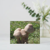paddenstoelen briefkaart (Staand voorkant)