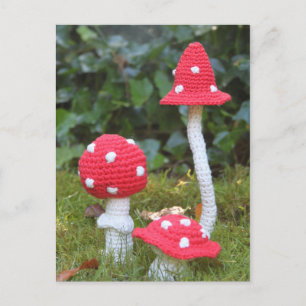 paddenstoelen briefkaart