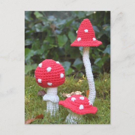 paddenstoelen briefkaart (Voorkant)