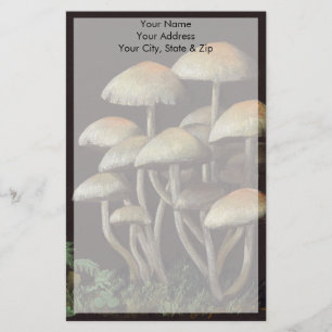 paddenstoelen briefpapier