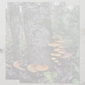 Paddenstoelen - briefpapier van 8,5 x 11 inch (Voorkant / Achterkant)