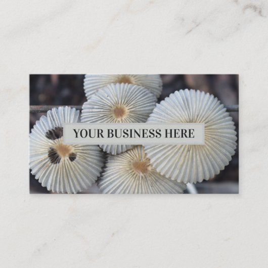 Paddenstoelen buiten Fungus Sprouting Paddenstoel Visitekaartje (Voorkant)