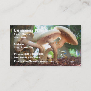 paddenstoelen dansen visitekaartje