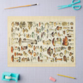 Paddenstoelen  debetpapier tissuepapier (Craft)