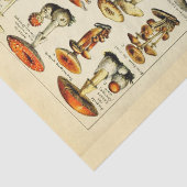 Paddenstoelen  debetpapier tissuepapier (Detail)