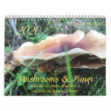Paddenstoelen en fungi 2020-kalender