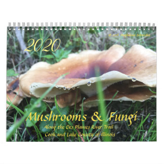 Paddenstoelen en fungi 2020-kalender kalender