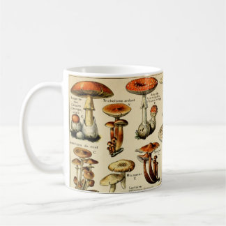  paddenstoelen en Fungi #3 KoffieMok