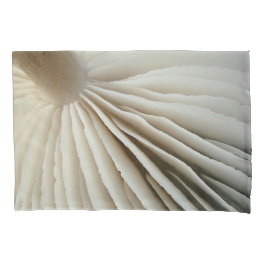 Paddenstoelen en stammen kussensloop (Voorkant)