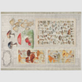 Paddenstoelen Forest Ephemera Cottcore-ontkoppelin Tissuepapier (Voorkant)