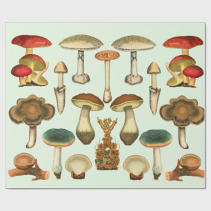 paddenstoelen Fungi-Planten Botanische tuinkraakb Cadeaupapier