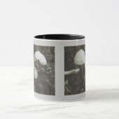 Paddenstoelen in de Mok van de pomp (Midden)