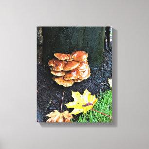 Paddenstoelen in een boom, Oregon Canvas Afdruk