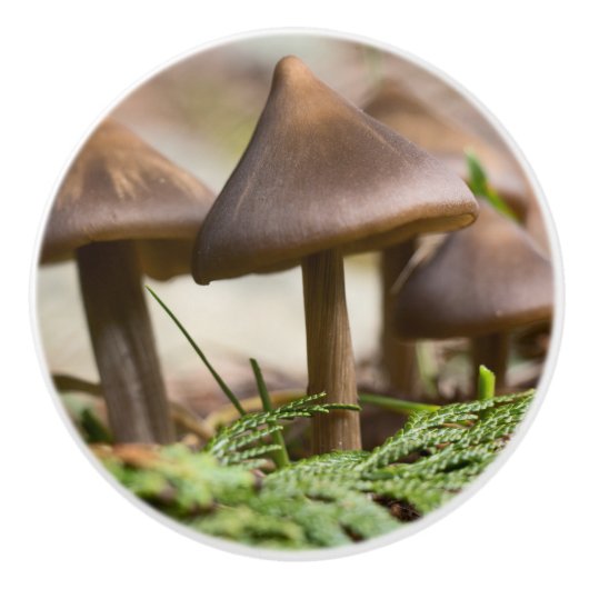 Paddenstoelen in het bos keramische knop (Voorkant)