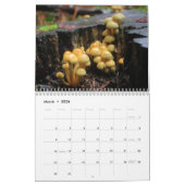 paddenstoelen kalender (Mar 2026)