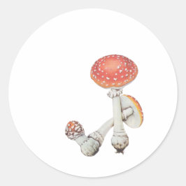  paddenstoelen Keuken - Wetenschapsflessen - Ronde Sticker