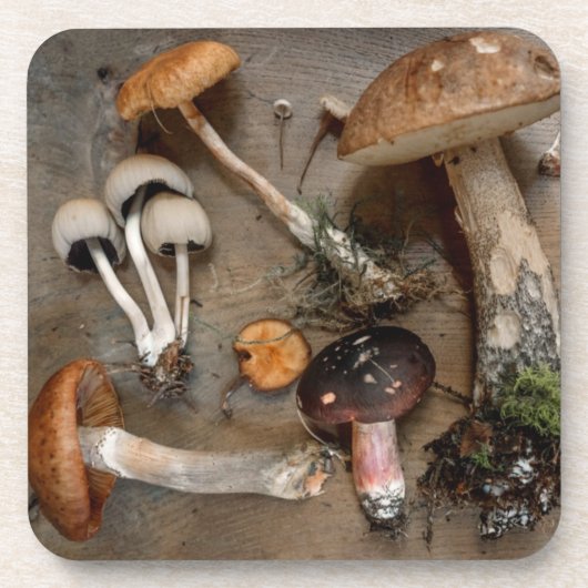 Paddenstoelen Lieven Schimmels Bier Onderzetter (Voorkant)