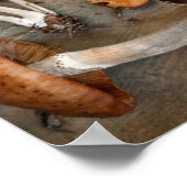 Paddenstoelen Love Fungi Poster (Hoek)