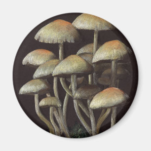 paddenstoelen magneet