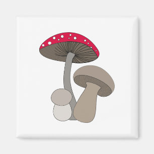 paddenstoelen Magnet Magneet