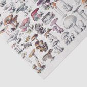  paddenstoelen Ontvlechting van kuilvoer Tissuepapier (Detail)