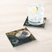 Paddenstoelen, Oregon Glazen Onderzetter (Schuin)