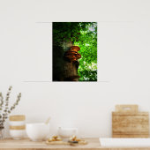 paddenstoelen poster (Keuken)