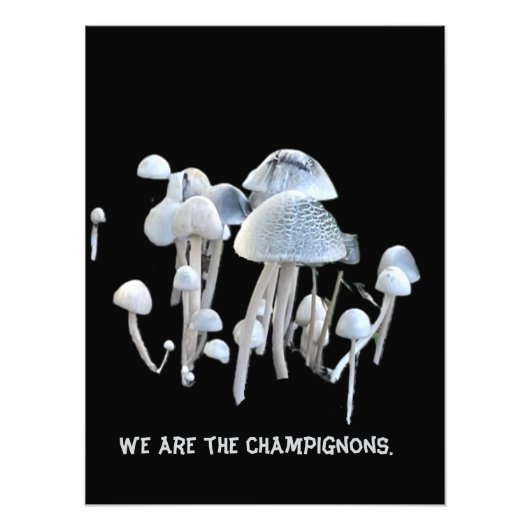 Paddenstoelen Poster (Voorkant)