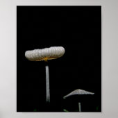 paddenstoelen poster (Voorkant)