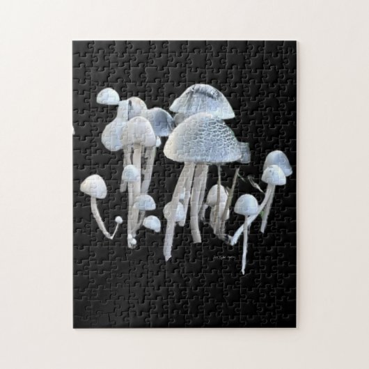 Paddenstoelen Puzzel (Verticaal)
