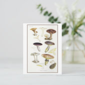  Paddenstoelen van de Fir Bossen Illustratie Briefkaart (Staand voorkant)