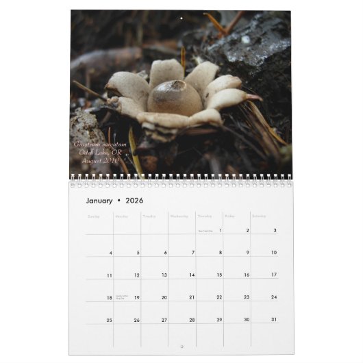 Paddenstoelen van Western Oregon, 2011 Kalender (Jan 2026)