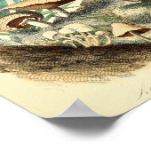 paddenstoelen Varieties Kunst drukken Rood Wit Poster (Hoek)