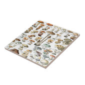  paddenstoelenpatroon tegeltje (Zijkant)